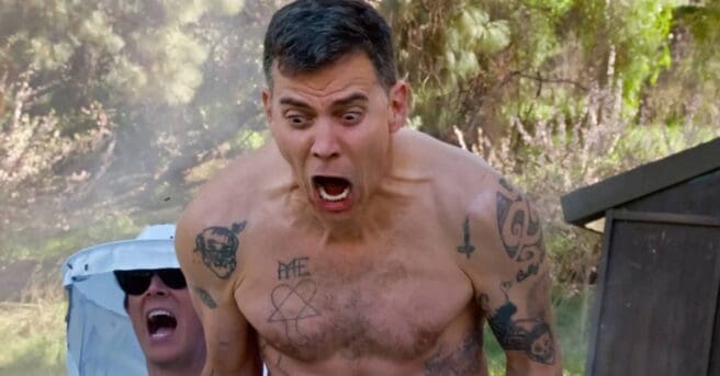 Steve-O